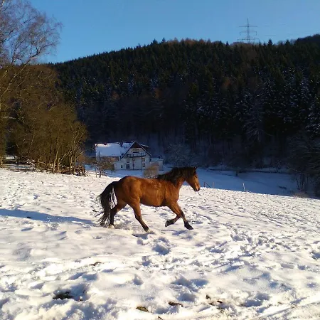 110 M² Mitten In Der Apartment Plettenberg