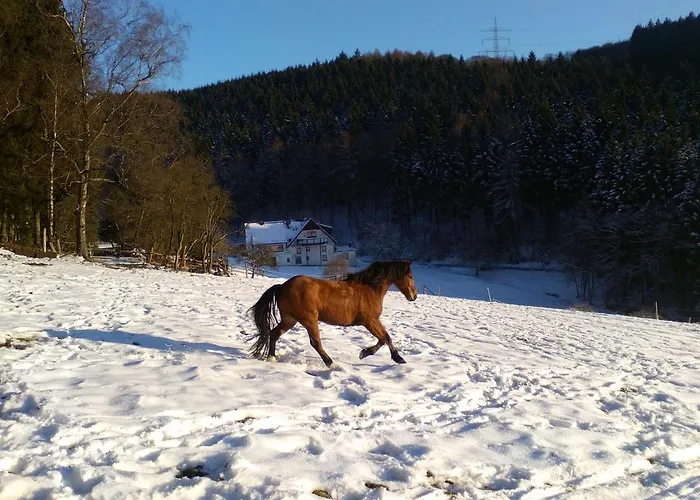 110 M² Mitten In Der Lejlighed Plettenberg
